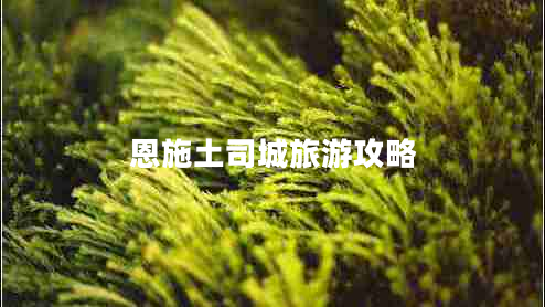 恩施土司城旅游攻略 恩施土司城旅游攻略