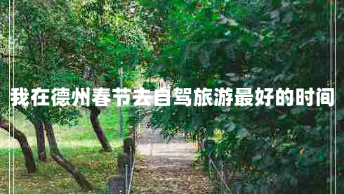 我在德州春節(jié)去自駕旅游最好的時間