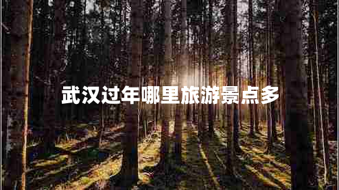 武漢過年哪里旅游景點(diǎn)多