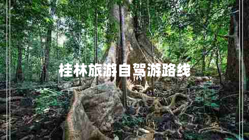 桂林旅游自駕游路線