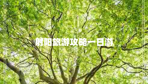 射陽旅游攻略一日游