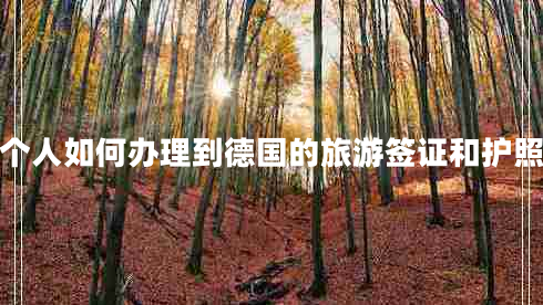 個人如何辦理到德國的旅游簽證和護照