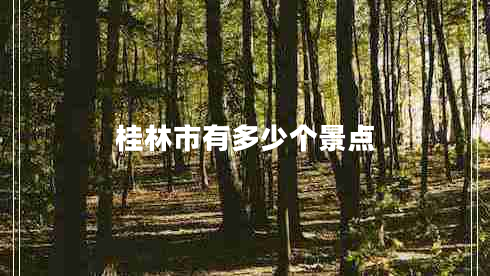 桂林市有多少個(gè)景點(diǎn)