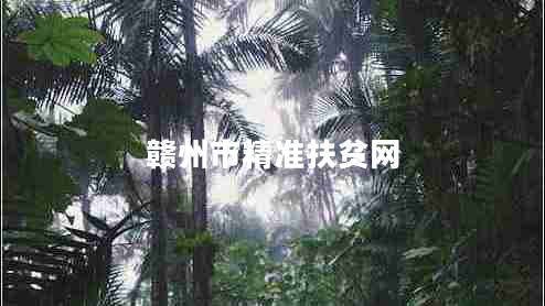 贛州市精準(zhǔn)扶貧網(wǎng)