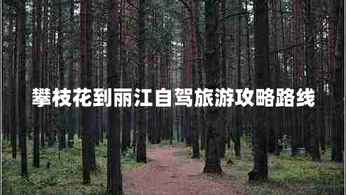 攀枝花到麗江自駕旅游攻略路線