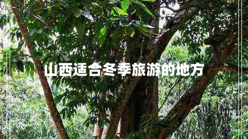 山西適合冬季旅游的地方