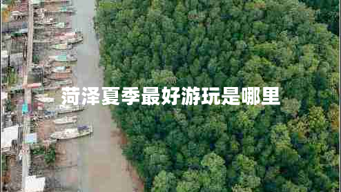 菏澤夏季最好游玩是哪里