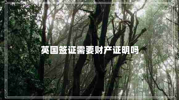 英國簽證需要財(cái)產(chǎn)證明嗎