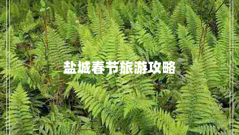 鹽城春節(jié)旅游攻略