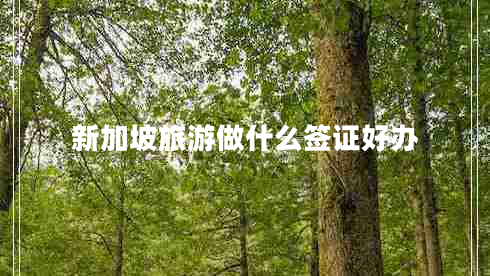 新加坡旅游做什么簽證好辦