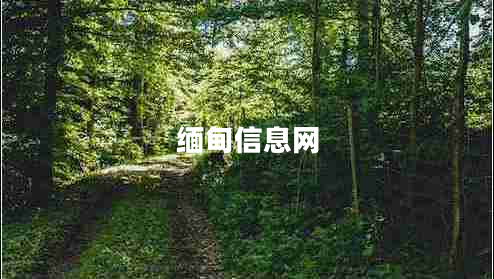 緬甸信息網(wǎng)