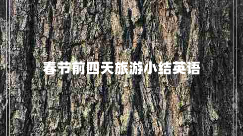 春節(jié)前四天旅游小結(jié)英語(yǔ)