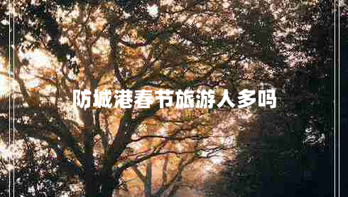 防城港春節(jié)旅游人多嗎