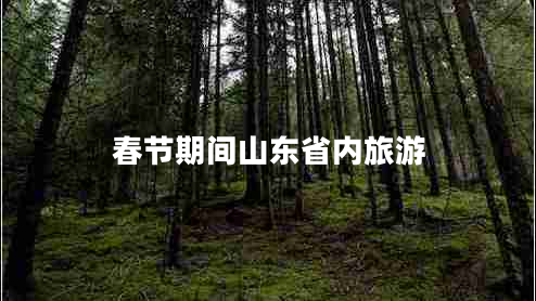 春節(jié)期間山東省內(nèi)旅游