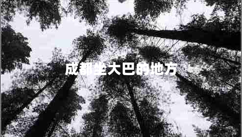 成都坐大巴的地方 成都坐大巴的地方