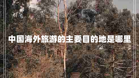 中國海外旅游的主要目的地是哪里