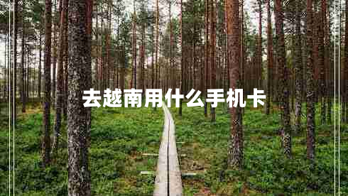 去越南用什么手機卡