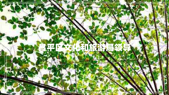 昌平區(qū)文化和旅游局領(lǐng)導 昌平區(qū)文化和旅游局領(lǐng)導