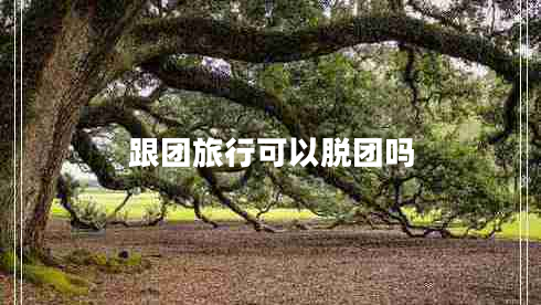 跟團(tuán)旅行可以脫團(tuán)嗎