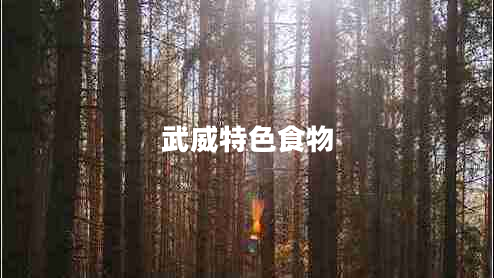 武威特色食物