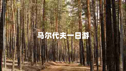 馬爾代夫一日游