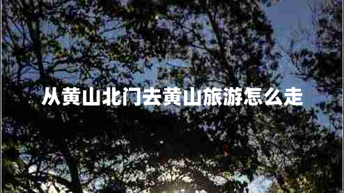 從黃山北門去黃山旅游怎么走