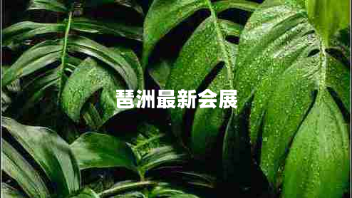 琶洲最新會展 琶洲最新會展