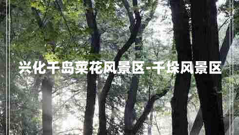 興化千島菜花風(fēng)景區(qū)-千垛風(fēng)景區(qū)