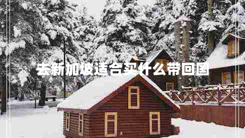 去新加坡適合買什么帶回國(guó)