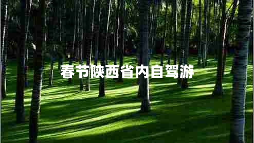 春節(jié)陜西省內(nèi)自駕游