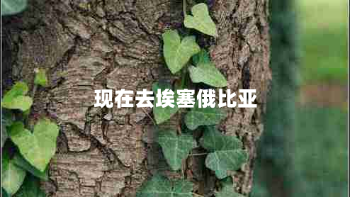 現(xiàn)在去埃塞俄比亞