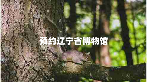 預約遼寧省博物館