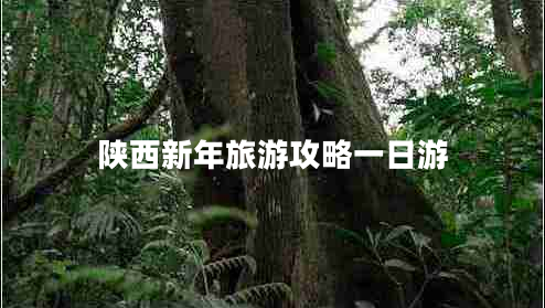陜西新年旅游攻略一日游 陜西新年旅游攻略一日游
