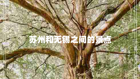 蘇州和無(wú)錫之間的景點(diǎn) 蘇州和無(wú)錫之間的景點(diǎn)
