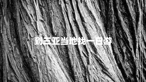 到三亞當(dāng)?shù)卣乙蝗沼? title=