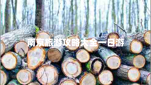 南京旅游攻略大全一日游