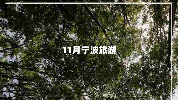 11月寧波旅游 11月寧波旅游