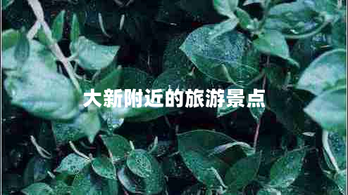 大新附近的旅游景點