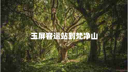 玉屏客運(yùn)站到梵凈山