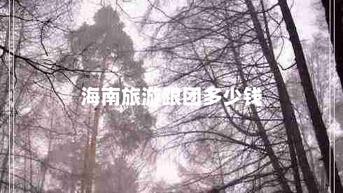 海南旅游跟團(tuán)多少錢(qián)