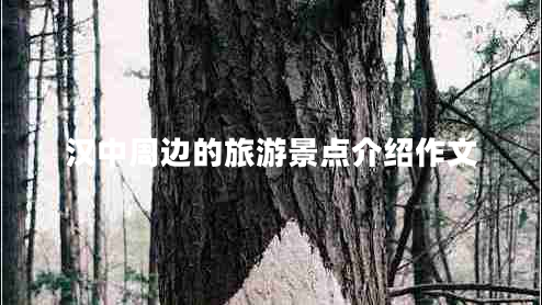 漢中周邊的旅游景點(diǎn)介紹作文