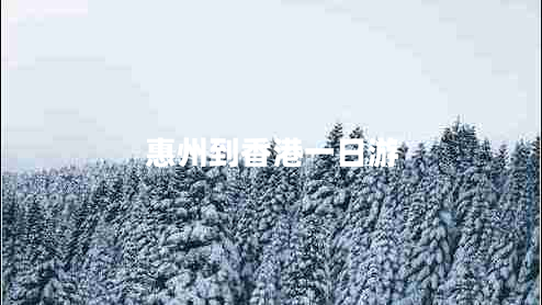 惠州到香港一日游 惠州到香港一日游