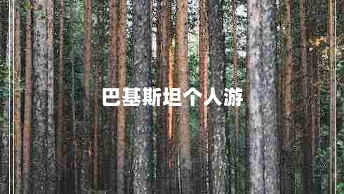 巴基斯坦個(gè)人游