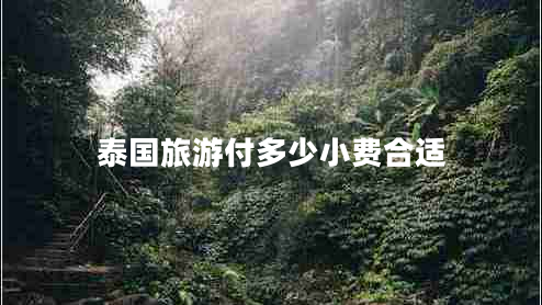 泰國旅游付多少小費(fèi)合適