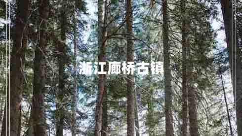 浙江廊橋古鎮(zhèn)