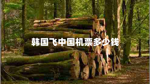 韓國(guó)飛中國(guó)機(jī)票多少錢