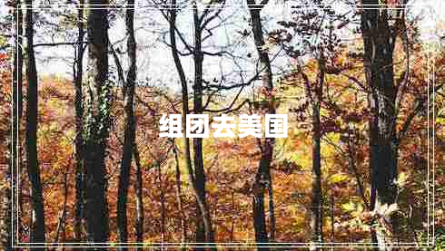 組團(tuán)去美國 組團(tuán)去美國