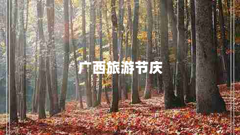 廣西旅游節(jié)慶