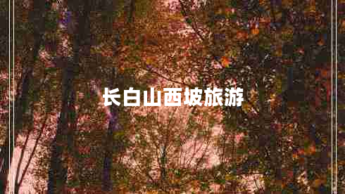 長白山西坡旅游 長白山西坡旅游