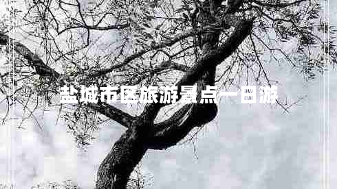 鹽城市區(qū)旅游景點(diǎn)一日游